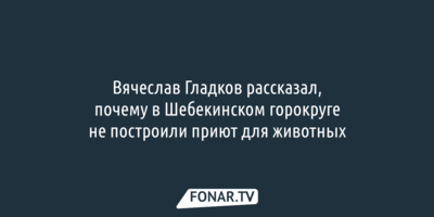 Вячеслав Гладков рассказал, почему в Шебекинском горокруге не построили приют для животных