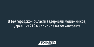 В Белгородской области задержали мошенников, укравших 215 миллионов на госконтракте 