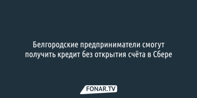 Сбер: Белгородские предприниматели смогут получить кредит без открытия счёта