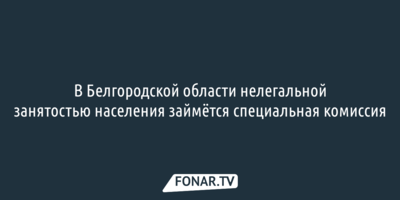 В Белгородской области нелегальной занятостью населения займётся специальная комиссия