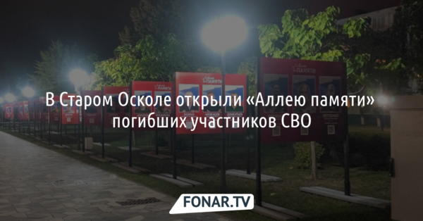 В Старом Осколе открыли «Аллею памяти» погибших участников СВО