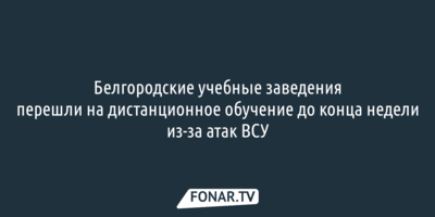В Белгороде школьники перешли на дистант из-за атак дронов