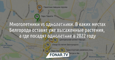 Многолетники vs однолетники. Где в Белгороде в 2022 году оставят уже высаженные растения, а где посадят однолетники