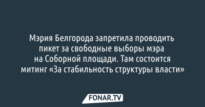 Мэрия Белгорода запретила проводить пикет за свободные выборы мэра на Соборной площади. Там состоится митинг «За стабильность структуры власти» 