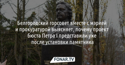 Белгородский горсовет выясняет, почему проект бюста Петра I представили уже после установки памятника