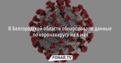 В Белгородской области обнародовали данные по коронавирусу на 6 мая