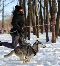 В Белгороде прошёл забег «Хаски-Trail»