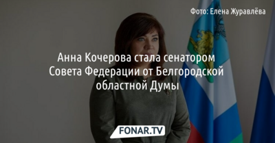 Белгородская область определилась с новым сенатором