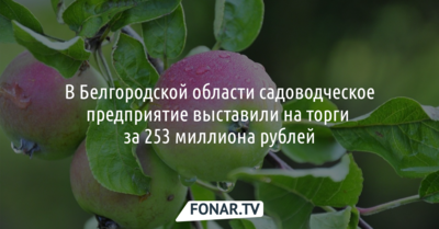 В Белгородской области садоводческое предприятие выставили на торги за 253 миллиона рублей
