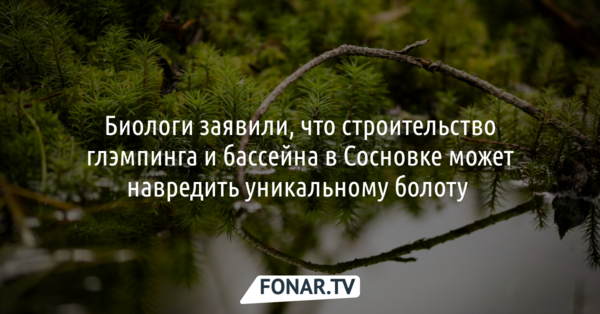 Эксперты: строительство глэмпинга и бассейна в Сосновке может навредить уникальному болоту 