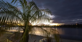 Вдоль пальм по набережной. Необычная вечерняя прогулка в Белгороде