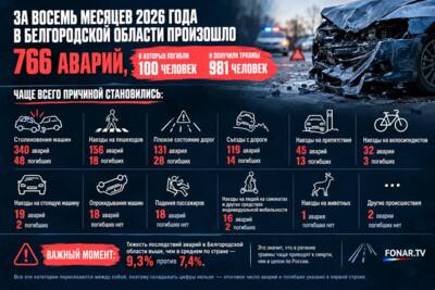 100 человек погибли в ДТП в Белгородской области с начала года