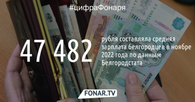 Белгородстат: средняя зарплата белгородцев самая высокая в Черноземье