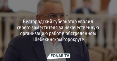 Вячеслав Гладков уволил вице-губернатора Константина Полежаева