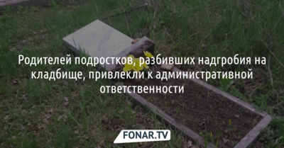 Разбивших на кладбище в Белгороде надгробия подростков пока не привлекли к ответственности 