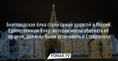 Белгородская ёлка стала самой дорогой в России