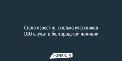 Стало известно, сколько участников СВО служат в белгородской полиции