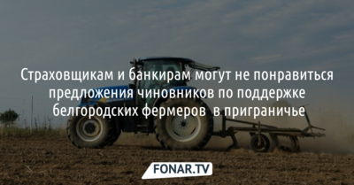 Страховщикам и банкирам могут не понравиться предложения чиновников по поддержке белгородских фермеров в приграничье