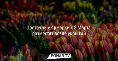 В Белгороде цветочные ярмарки к 8 Марта разместят возле укрытий