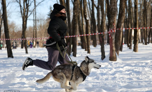 В Белгороде прошёл забег «Хаски-Trail»