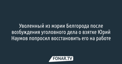 Уволенный из мэрии Белгорода после возбуждения уголовного дела о взятке Юрий Наумов попросил восстановить его на работе