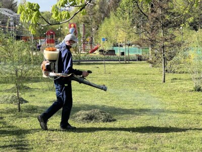 В белгородских парках начали избавляться от клещей