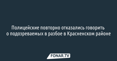 Полицейские повторно отказались говорить о подозреваемых в разбое в Красненском районе