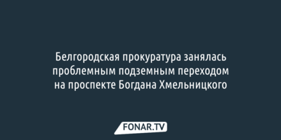 Белгородская прокуратура занялась проблемным подземным переходом на проспекте Богдана Хмельницкого