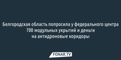 Гладков попросил у Файзуллина 700 укрытий и деньги на антидроновые сети