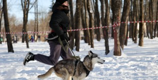 В Белгороде прошёл забег «Хаски-Trail»