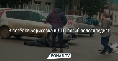 В посёлке Борисовка в ДТП погиб велосипедист