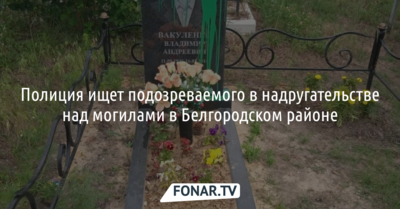 ​Полиция ищет подозреваемого в надругательстве над могилами в Белгородском районе