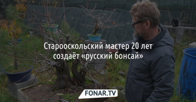 Журналистов привлёк старооскольский мастер, создающий 20 лет «русский бонсай» 