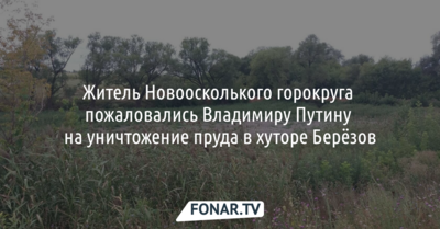 Жители Новоосколького горокруга пожаловались Владимиру Путину на уничтожение пруда в хуторе Берёзов