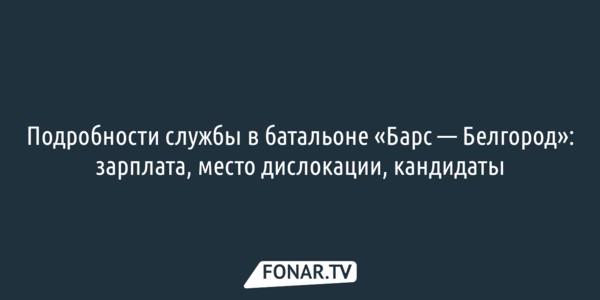 Подробности службы в батальоне «Барс — Белгород»: зарплата, место дислокации, кандидаты 