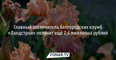 Главный озеленитель белгородских клумб «Ландстрой» получит ещё 2,6 миллиона рублей
