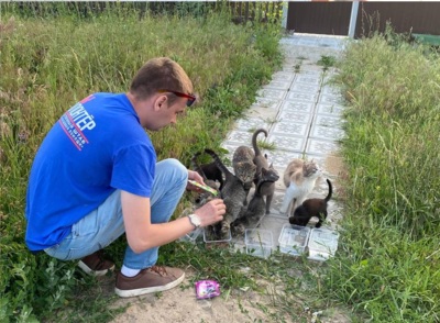 Белгородские волонтёры ездят кормить оставленных в Шебекине животных