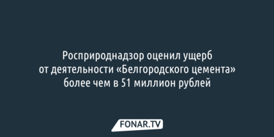 Росприроднадзор оценил ущерб от деятельности «Белгородского цемента»