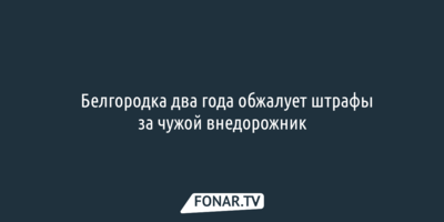 ​Белгородка два года обжалует штрафы за чужой внедорожник