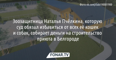 Зоозащитница, которую суд обязал избавиться от всех кошек и собак, собирает деньги на строительство приюта в Белгороде