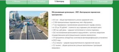 Белгородские платные парковки оценили эксперты