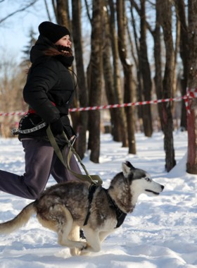 В Белгороде прошёл забег «Хаски-Trail»
