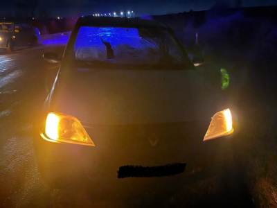 Три смертельные аварии за сутки: в Белгородской области погибли велосипедист, пешеход и подросток