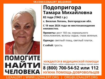 В Белгородской области разыскивают пожилую женщину с тростью