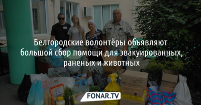 Белгородские волонтёры объявили большой сбор помощи для эвакуированных, раненых и животных