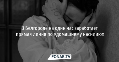 В Белгороде на один час заработает прямая линия по «домашнему насилию»