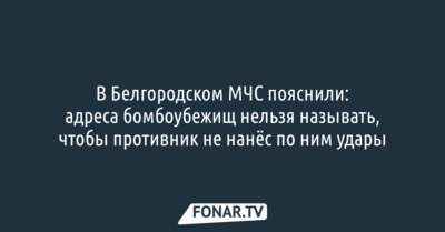 МЧС: адреса бомбоубежищ в Белгороде нельзя называть, чтобы противник не нанёс по ним удары