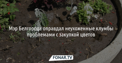 Мэр Белгорода оправдал неухоженные клумбы проблемами с закупкой цветов