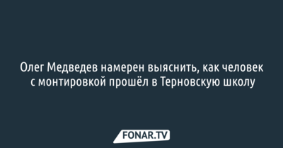 Олег Медведев намерен выяснить, как человек с монтировкой прошёл в Терновскую школу