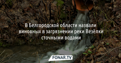 В Белгородской области назвали виновных в загрязнении реки Везёлки сточными водами [обновлено]